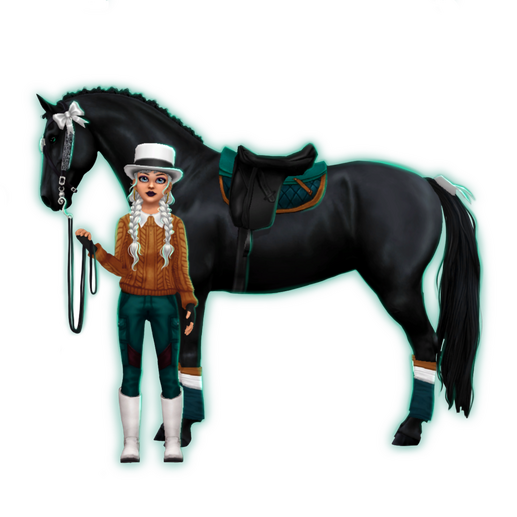 Second Clubhorse: Black Dutch Warmblood Second Clubhorse: Black Dutch Warmblood
